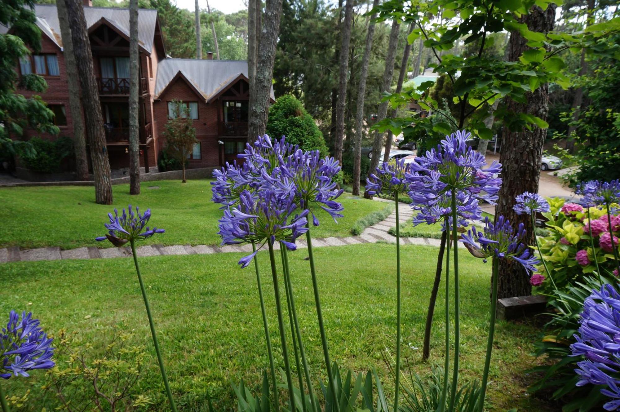 Refugio Del Bosque Villa Карило Екстериор снимка