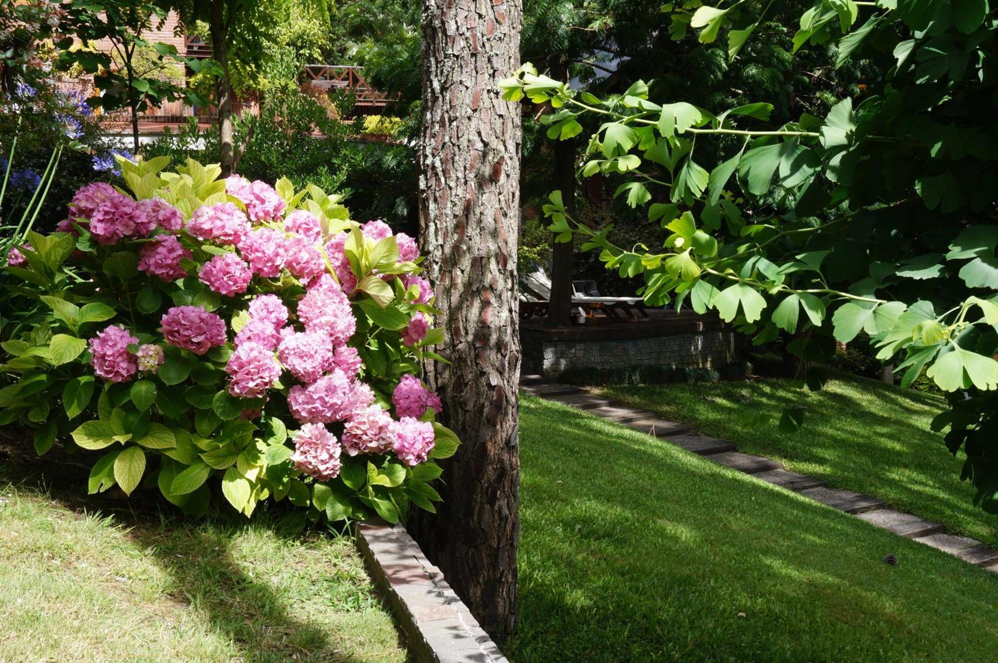 Refugio Del Bosque Villa Карило Екстериор снимка